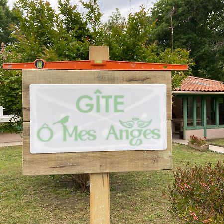 Villa 8 Personnes O Mes Anges Saint-Julien-en-Born Εξωτερικό φωτογραφία